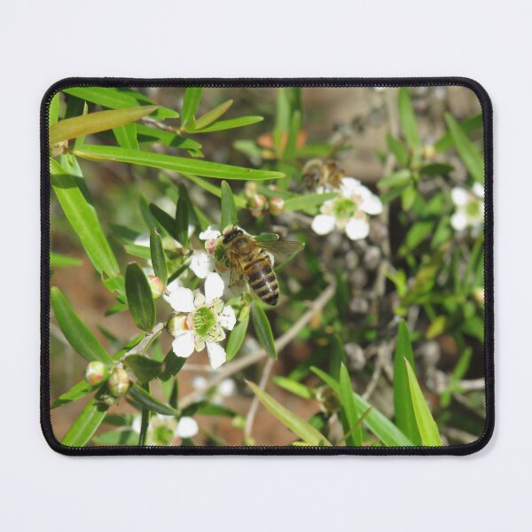 Item preview, Honey bee on leptospermum flower designed and sold by greentiger1.