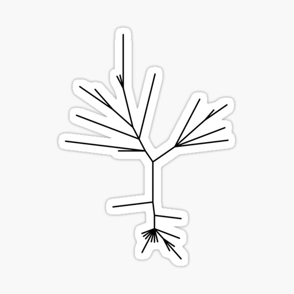 Phylogenetic Tree Sticker