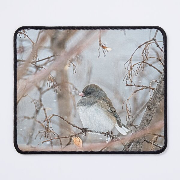 Item preview, Dark-eyed Junco On a Snowy Day by Debra Martz designed and sold by Debra Martz.