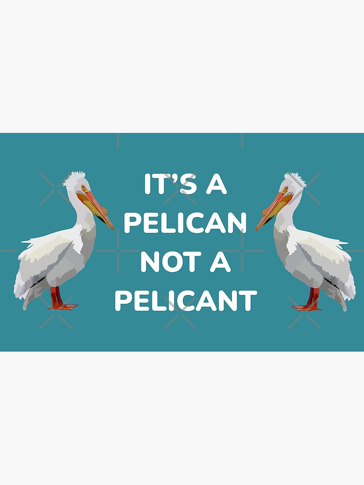 Pelican Mug, Easily Distracted by Pelicans, Funny Pelican Coffee Mug, Mug  for Pelican Lovers, Pelican Cup