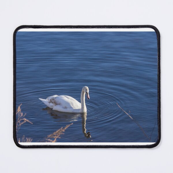Item preview, White swan on pond designed and sold by amzani.