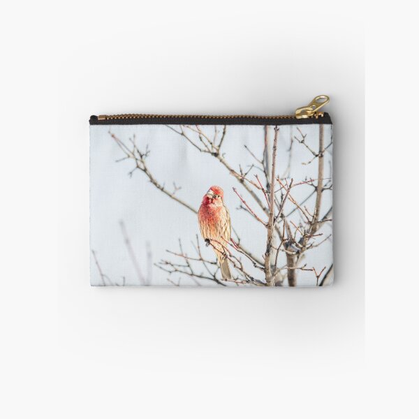 Item preview, Curious Male House Finch by Debra Martz designed and sold by Debra Martz.