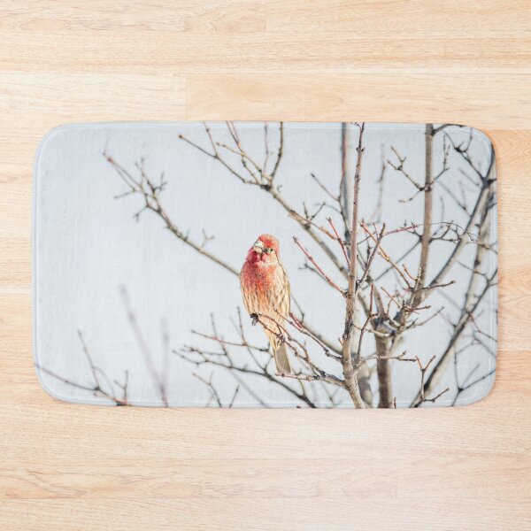 Item preview, Curious Male House Finch by Debra Martz designed and sold by Debra Martz.