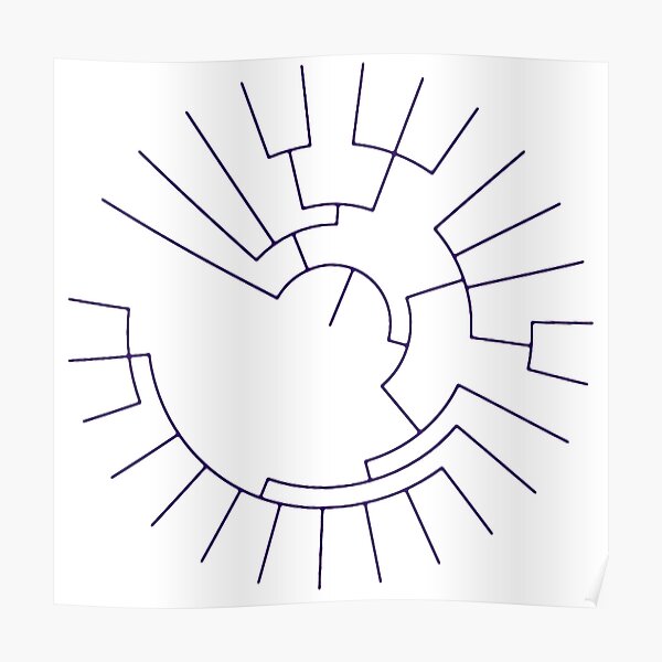 Phylogeny Poster