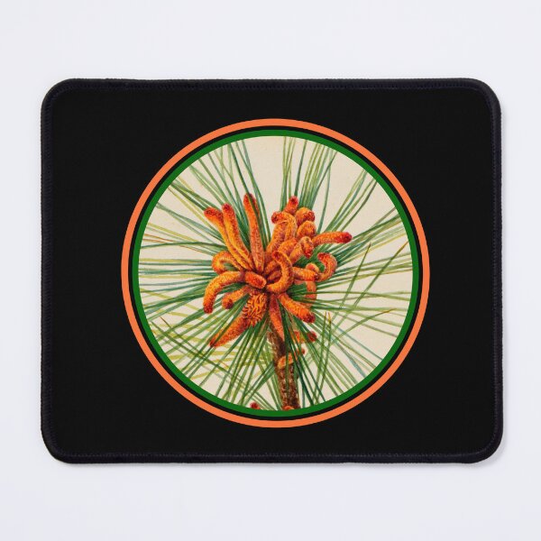 Item preview, Southern Pine Tree In Bloom designed and sold by artistoutfitter.