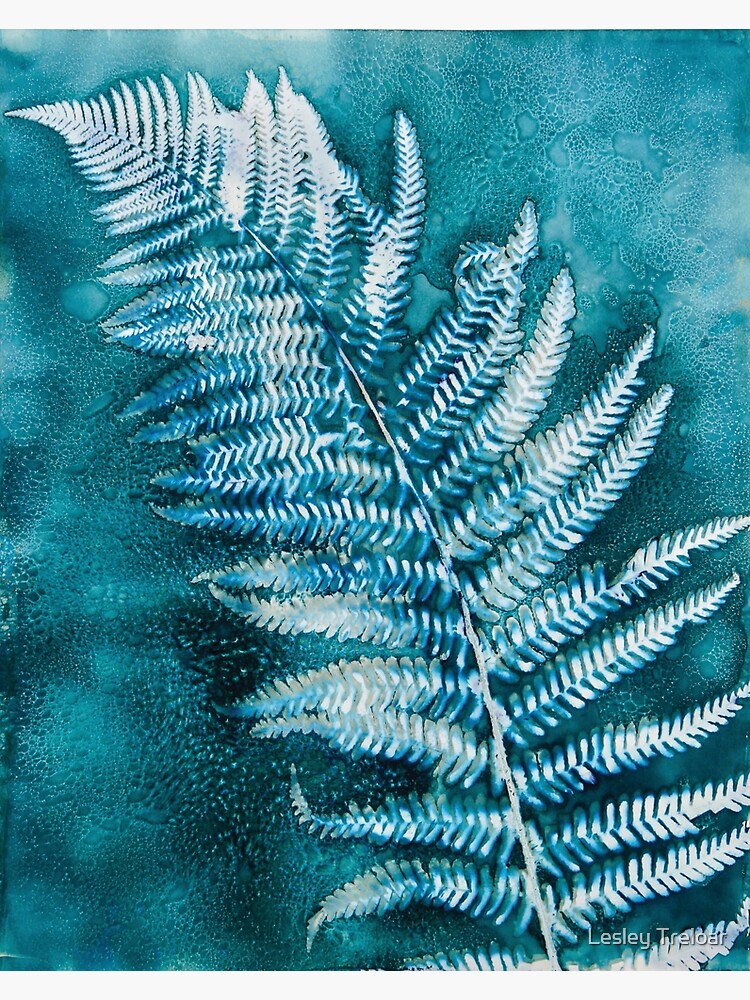 Thumbnail 3 of 3, Poster, Cornish Giant Fern designed and sold by latreloar.
