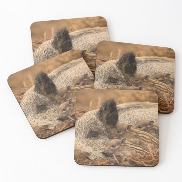 Item preview, Baby wild pigs sleeping on mum designed and sold by toms206.