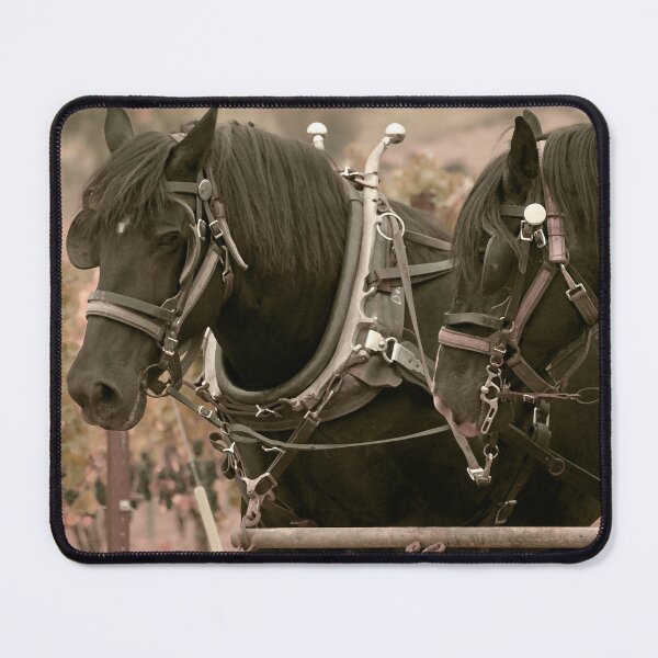 Item preview, Hitched designed and sold by Melissa J Barrett.