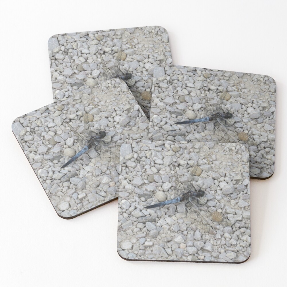 Item preview, Coasters (Set of 4) designed and sold by LittleCountess.