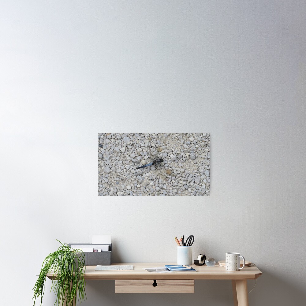 Item preview, Poster designed and sold by LittleCountess.