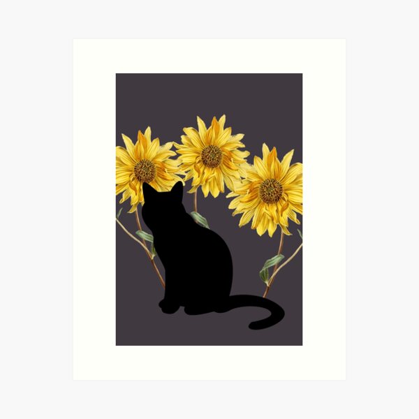 You are my sunshine lyrics sunflower cat meow poster canvas