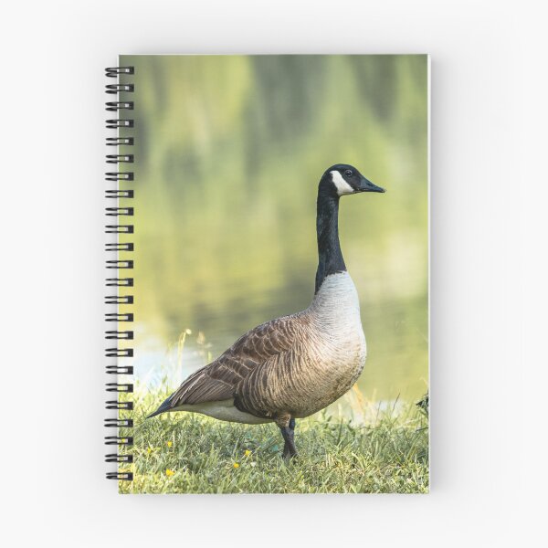Item preview, Canadian Geese designed and sold by -LGM-.