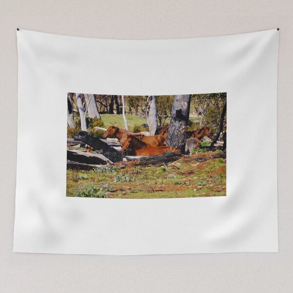 Item preview, Burny Country designed and sold by D-GaP.