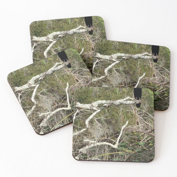 Item preview, Bird Looking Over the Swamp designed and sold by MADowdPhotos.