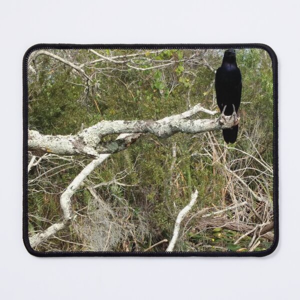 Item preview, Bird Looking Over the Swamp designed and sold by MADowdPhotos.