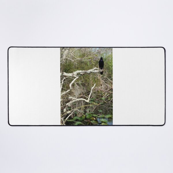 Item preview, Bird Looking Over the Swamp designed and sold by MADowdPhotos.