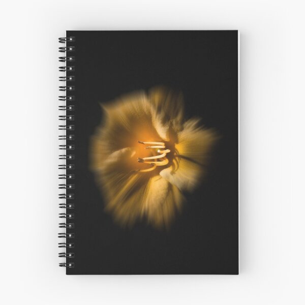 Item preview, Backyard Flowers 26 Color Flow Version designed and sold by The Learning Curve Photography.