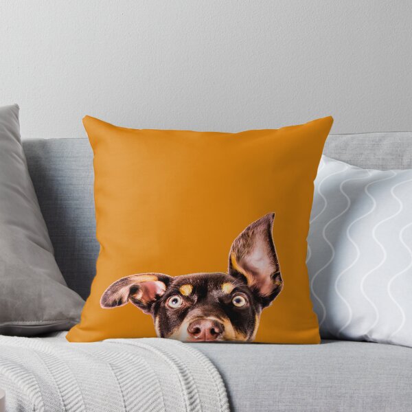 Item preview, Kelpie Peek a Boo designed and sold by redkitephotos.