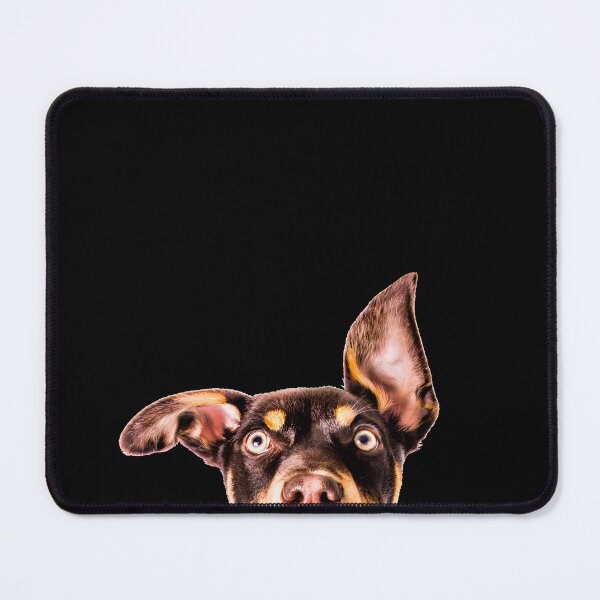 Item preview, Kelpie Peek a Boo designed and sold by redkitephotos.