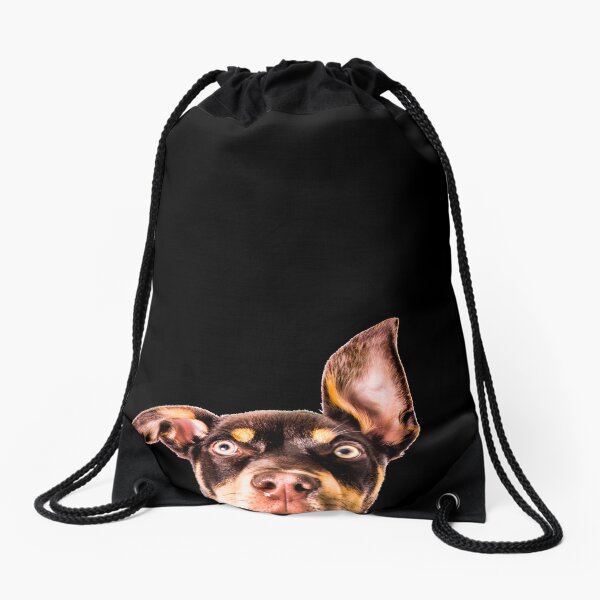 Item preview, Kelpie Peek a Boo designed and sold by redkitephotos.