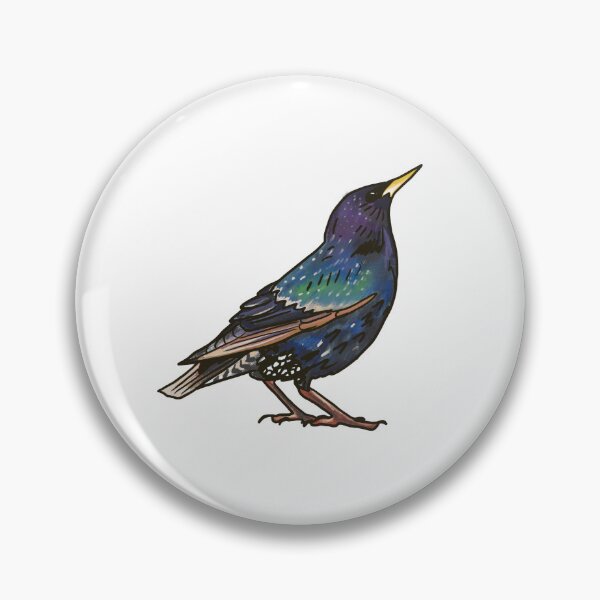 Item preview, European Starling  designed and sold by Allison Campbell.