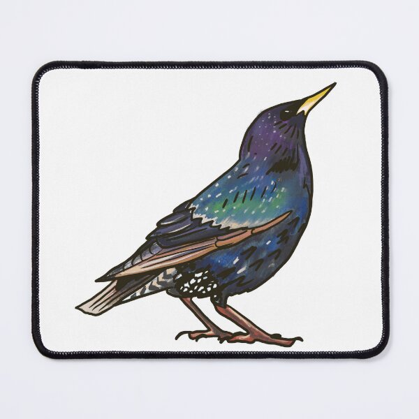 Item preview, European Starling  designed and sold by Allison Campbell.