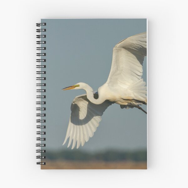 Item preview, Great Egret 2014-13 designed and sold by Thomasyoung.