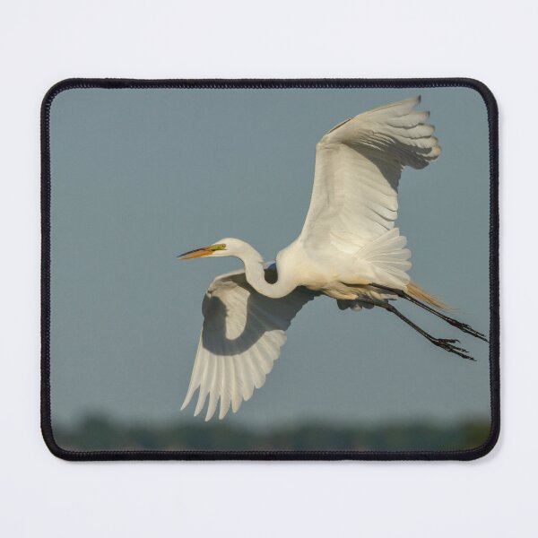 Item preview, Great Egret 2014-13 designed and sold by Thomasyoung.