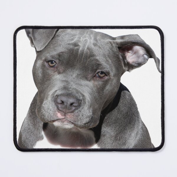 Item preview, ABSOLUT PITBULL designed and sold by ariszz.