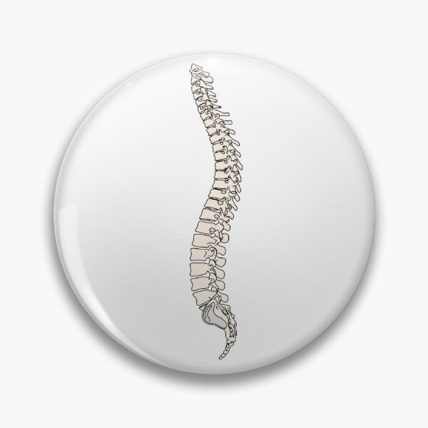 Item preview, Spine Vertebral Column Line Art, Minimalist Side View Spine Skeleton Anatomy Medical artwork designed and sold by KatarinaAndCo.