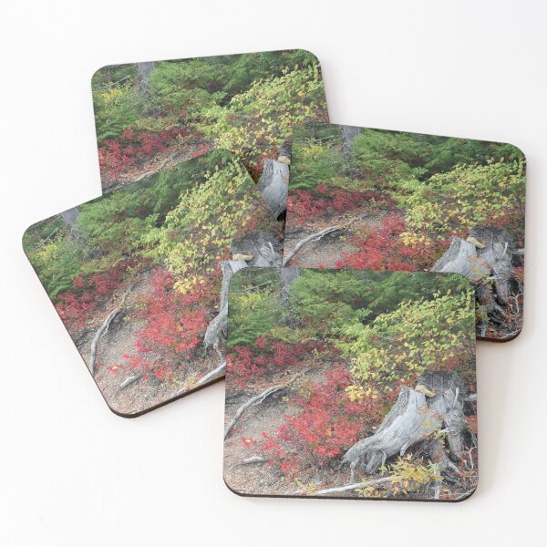 Item preview, Montana Autumn designed and sold by MADowdPhotos.