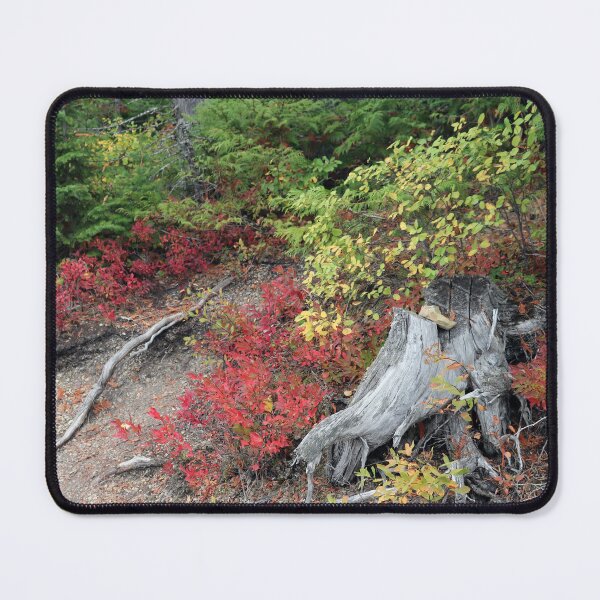 Item preview, Montana Autumn designed and sold by MADowdPhotos.