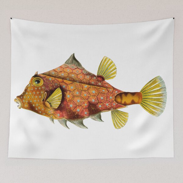 Item preview, Sucker Fish designed and sold by Bright Designs.