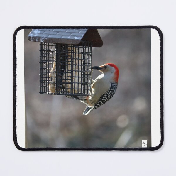 Item preview, Red Bellied Woodpecker Dinnertime designed and sold by MADowdPhotos.