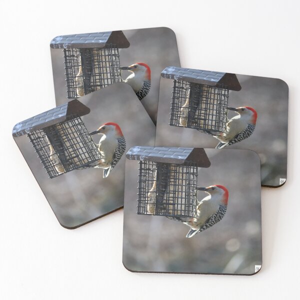 Item preview, Red Bellied Woodpecker Dinnertime designed and sold by MADowdPhotos.