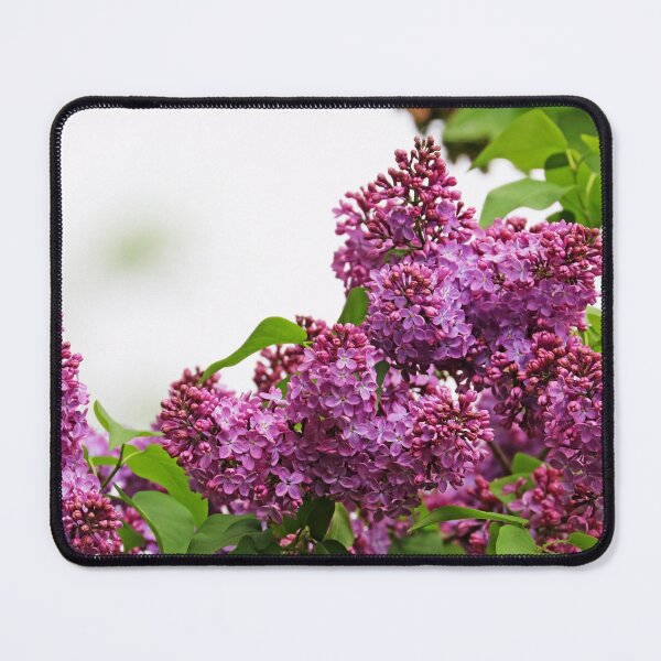 Item preview, Lilac Clusters designed and sold by Deb Oppermann.