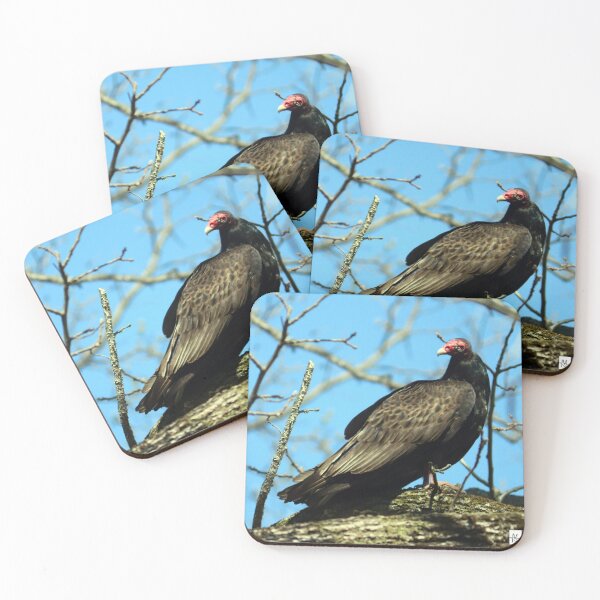 Item preview, Vulture Culture designed and sold by MADowdPhotos.