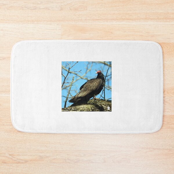 Item preview, Vulture Culture designed and sold by MADowdPhotos.