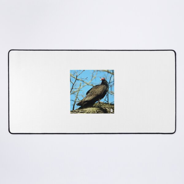 Item preview, Vulture Culture designed and sold by MADowdPhotos.