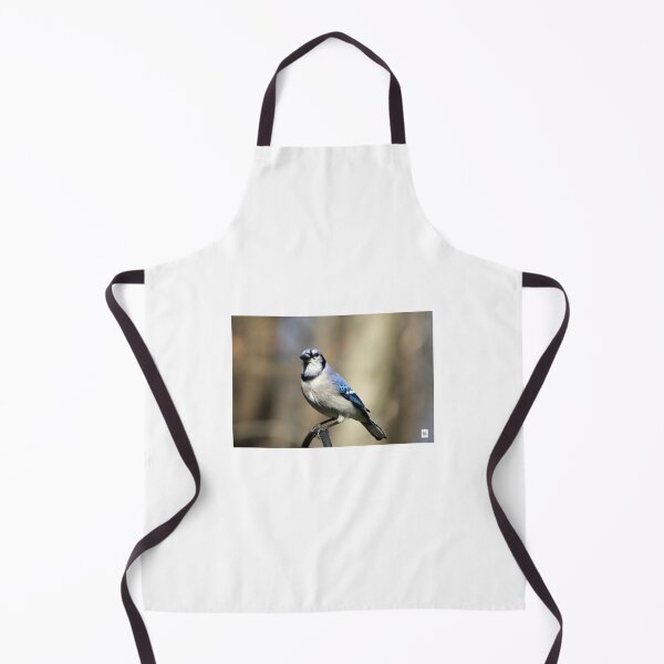 Item preview, Blue Jay Staredown designed and sold by MADowdPhotos.