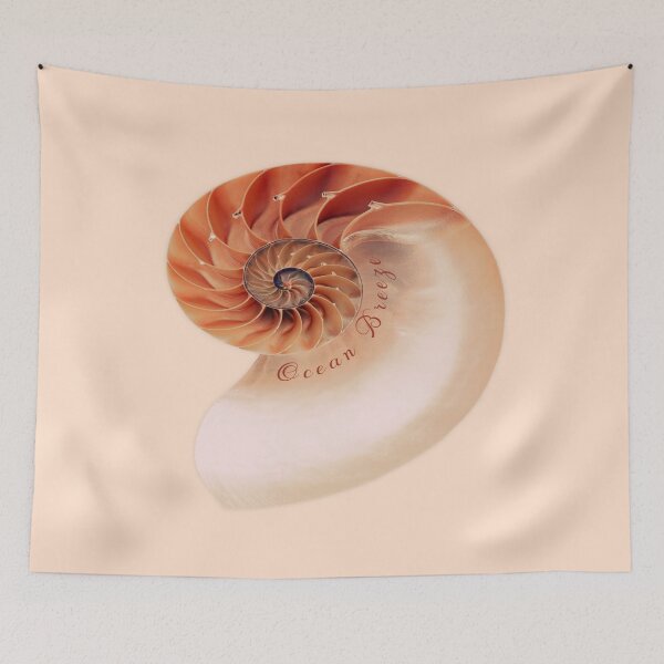 Item preview, Ocean Breeze Nautilus Shell designed and sold by FeeLnLivE.