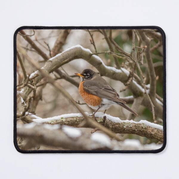 Item preview, A Robin in winter designed and sold by -LGM-.