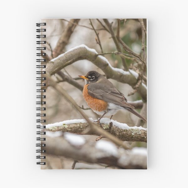 Item preview, A Robin in winter designed and sold by -LGM-.