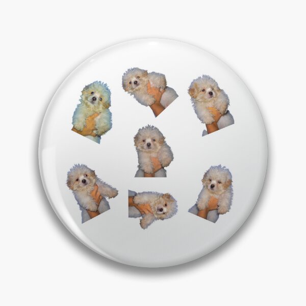 Item preview, Shih Tzu Puppy Stickers designed and sold by likbatonboot.