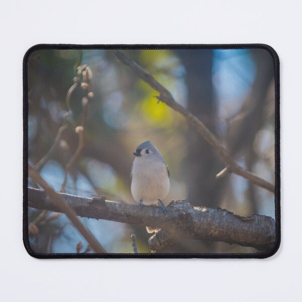 Item preview, Tufted Titmouse designed and sold by -LGM-.