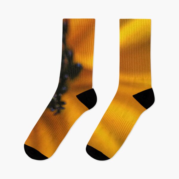 Item preview, H0127 Black-Eyed Susan designed and sold by photographyemd.