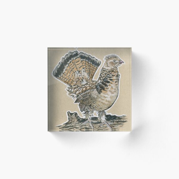 State Bird Series: Pennsylvania - Ruffed Grouse Acrylic Block