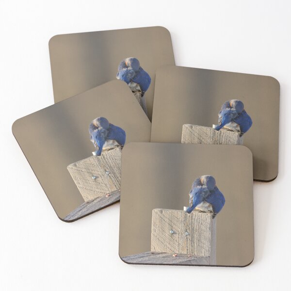 Item preview, Introspective Bluebird designed and sold by LisaNaturePhoto.