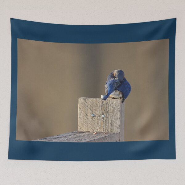 Item preview, Introspective Bluebird designed and sold by LisaNaturePhoto.