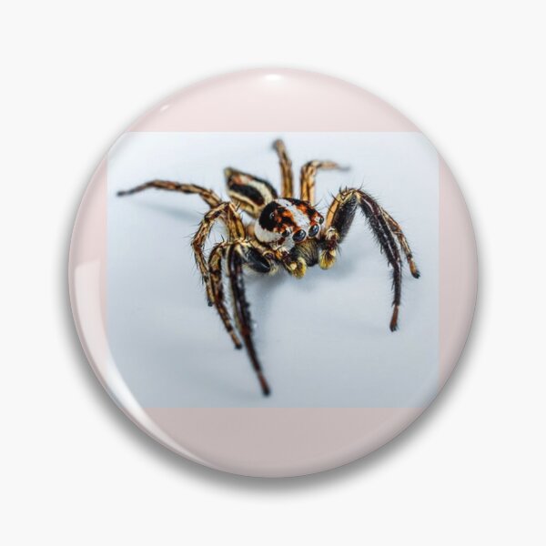 Item preview, Along Comes a Spider designed and sold by davidbjones254.